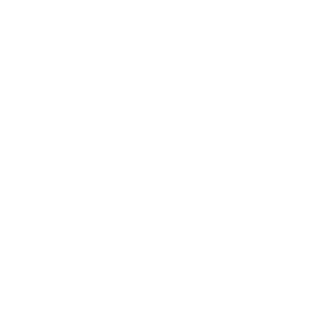 in2cloud logo